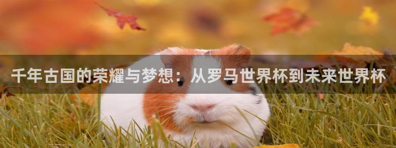 世界杯亚洲区预选赛：千年古国的荣耀与梦想：从罗马世界杯到未来世界杯