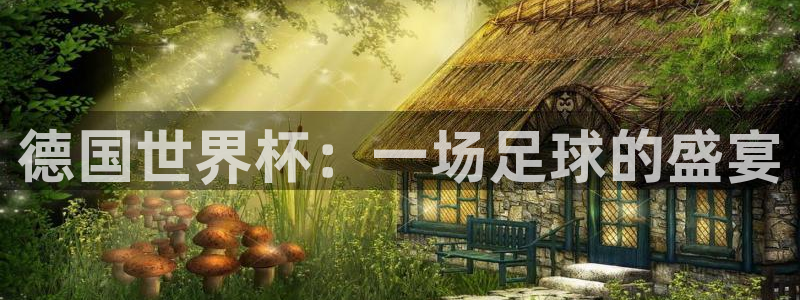 世界杯欧洲区世预赛赛程：德国世界杯：一场足球的盛宴