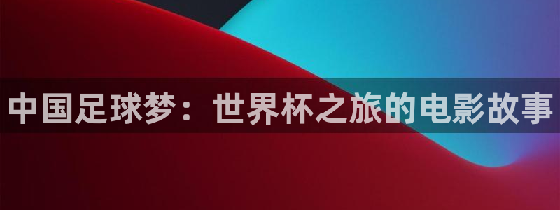 世界杯预选赛规则：中国足球梦：世界杯之旅的电影故事
