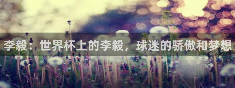 世界杯欧洲预选赛赛程：李毅：世界杯上的李毅，球迷的骄傲和梦想