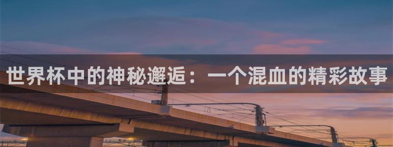 世界杯在线直播入口：世界杯中的神秘邂逅：一个混血的精彩故事