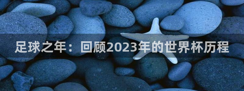足球世界杯：足球之年：回顾2023年的世界杯历程