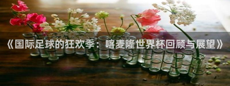 世界杯欧洲区预选赛赛程：《国际足球的狂欢季：喀麦隆世界杯回顾与展望》