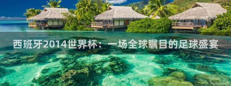 世界杯足球比赛：西班牙2014世界杯：一场全球瞩目的足球盛宴