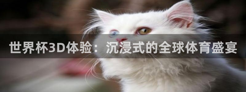 世界杯小组赛赛程：世界杯3D体验：沉浸式的全球体育盛宴