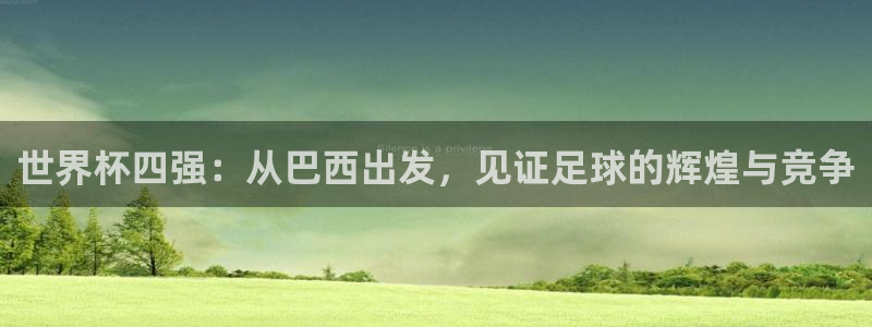 2026世界杯欧洲预选赛赛程表：世界杯四强：从巴西出发，见证足球的辉煌与竞争