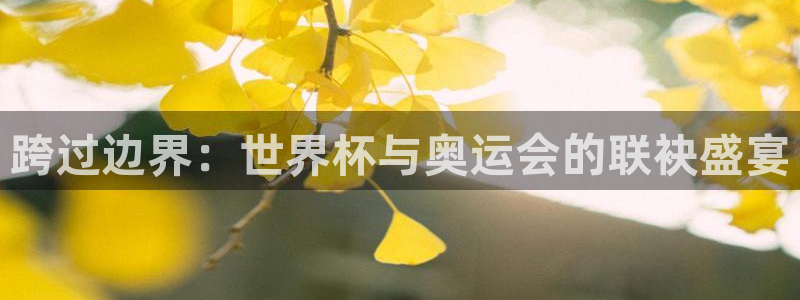 世界杯亚洲区预选赛赛程表：跨过边界：世界杯与奥运会的联袂盛宴