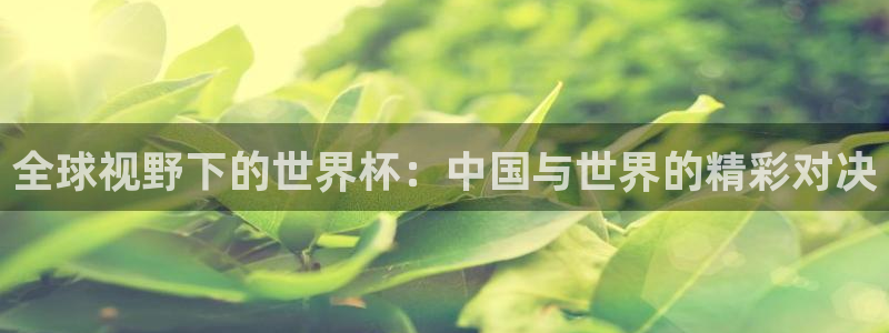 2026世界杯足球赛程时间表：全球视野下的世界杯：中国与世界的精彩对决