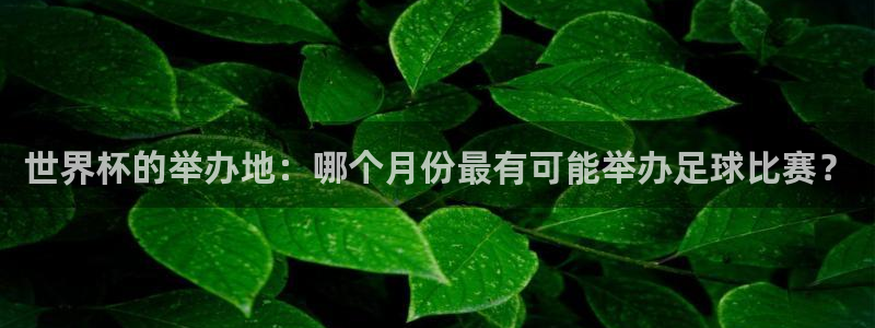 法国杯2026赛程表：世界杯的举办地：哪个月份最有可能举办足球比赛？