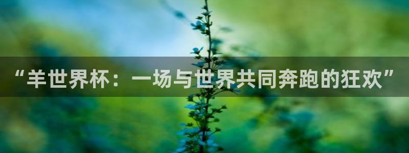 世界杯时间：“羊世界杯：一场与世界共同奔跑的狂欢”