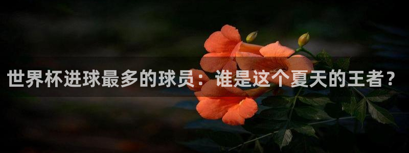 世界杯2026赛制：世界杯进球最多的球员：谁是这个夏天的王者？