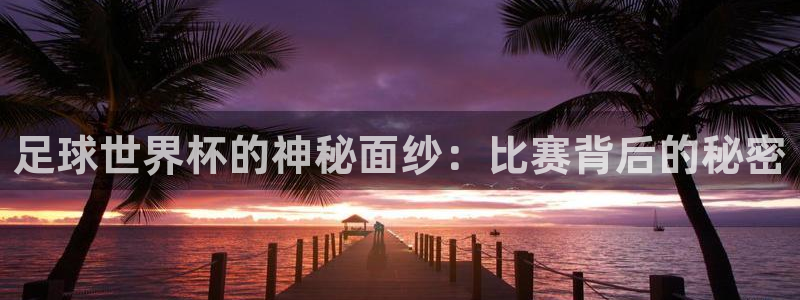 世界杯赛程表2026：足球世界杯的神秘面纱：比赛背后的秘密